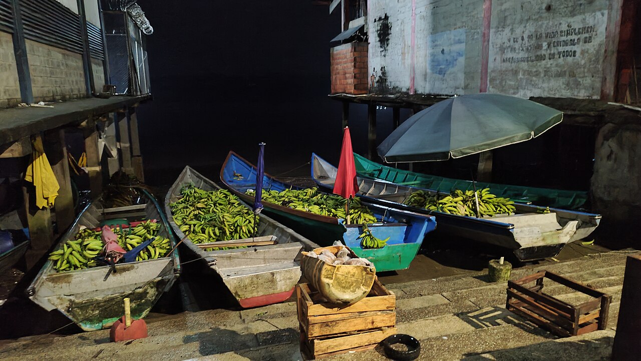 Plátanos expuestos para la venta en un mercado.