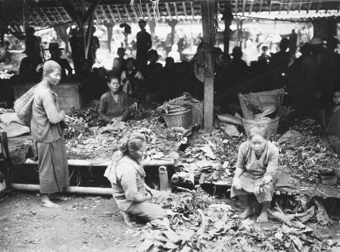 Fotografía de archivo de un puesto de plantas y hierbas.