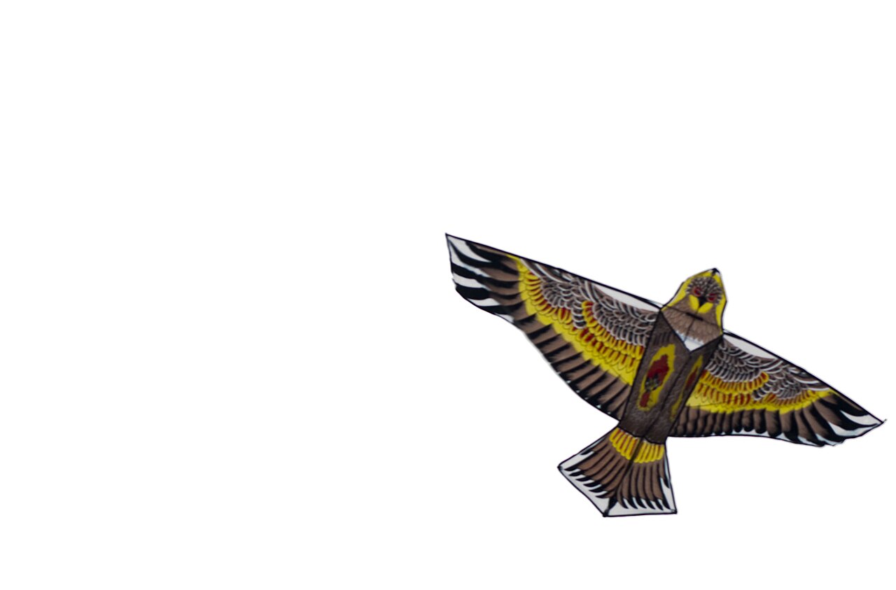 Un cerf-volant multicolore en forme d’oiseau sur un ciel pâle.